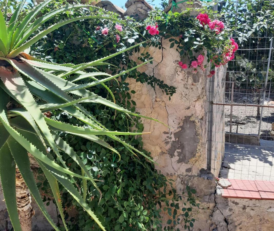 La Casa In Campagna Apartment Chiesa Nuova  Ngoại thất bức ảnh