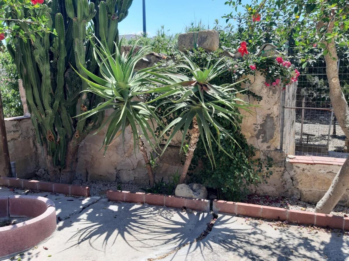 La Casa In Campagna Apartment Chiesa Nuova  Ngoại thất bức ảnh