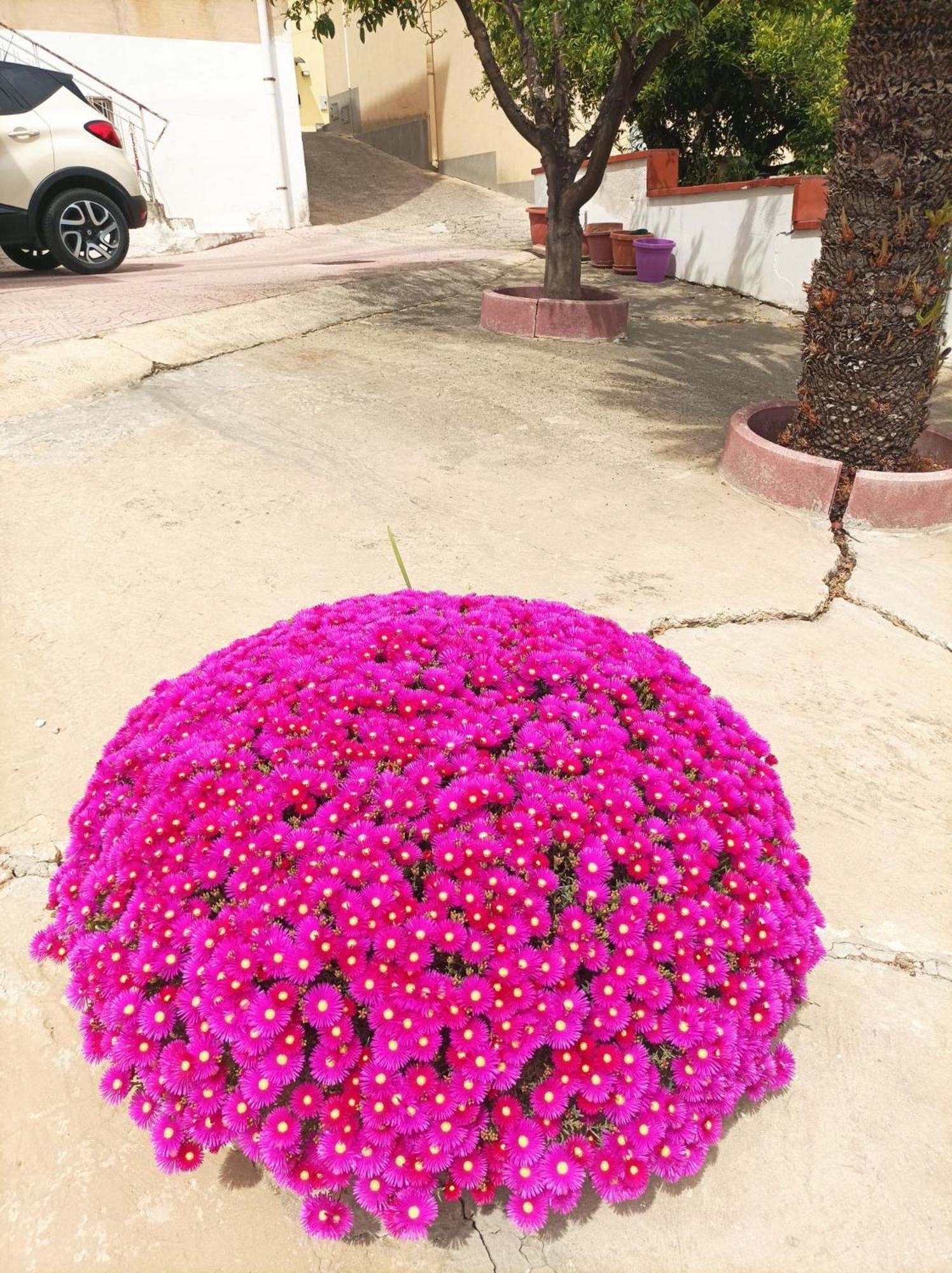 La Casa In Campagna Apartment Chiesa Nuova  Ngoại thất bức ảnh